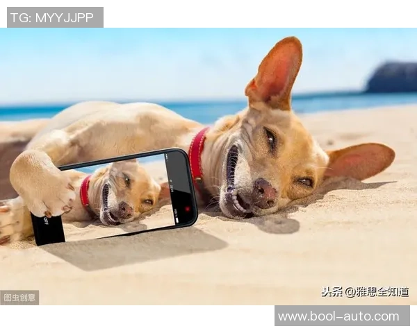 足球明星精彩瞬间与搞笑表情的完美结合让你捧腹大笑的创意配字合集